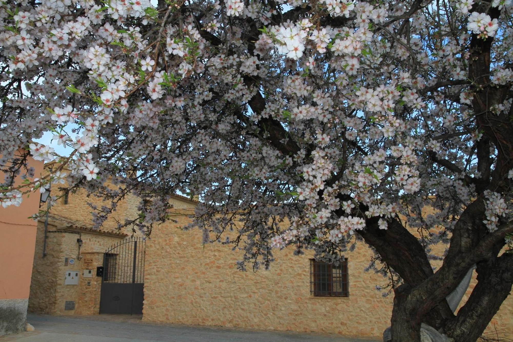 Alojamientos Rurales Cortijo Las Golondrinas Алама-де-Мурсия Экстерьер фото