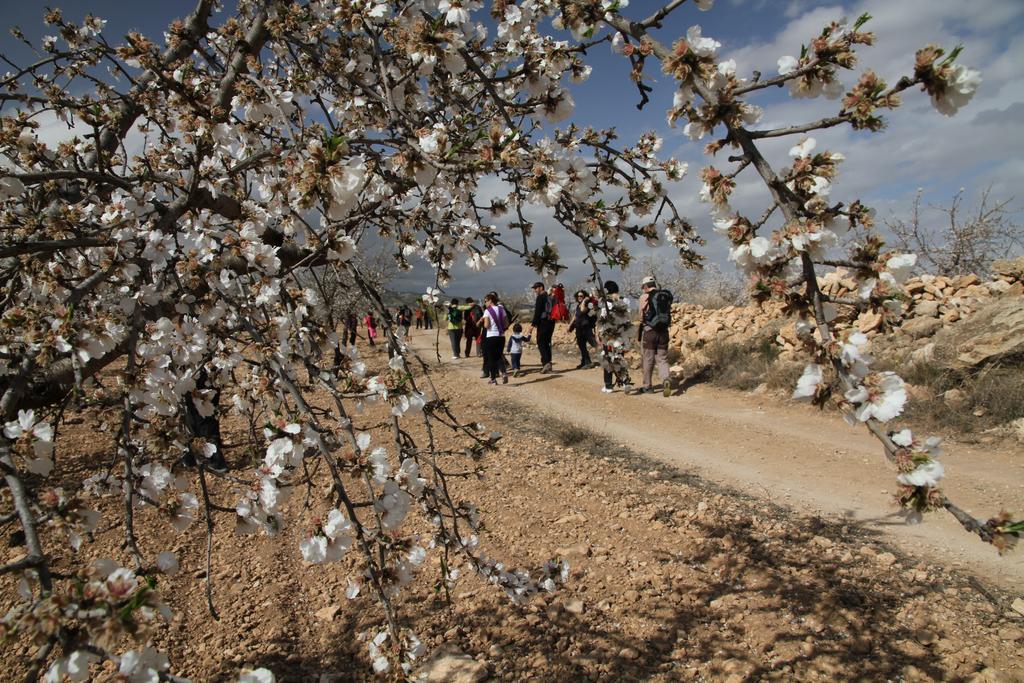 Alojamientos Rurales Cortijo Las Golondrinas Алама-де-Мурсия Экстерьер фото